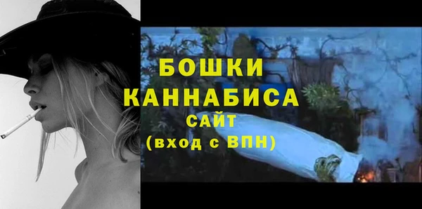 индика Вязьма