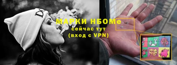 молекула духа Вяземский